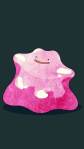Ditto pokemon 720x1280 background for cellphone hd
