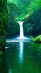 Forest waterfall greenery wallpaper mobile