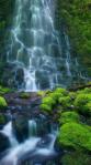 Waterfal moss forest wallpaper mobile