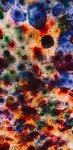 Free download jellyfish colorful 1440x2960 mobile wallpaper hd